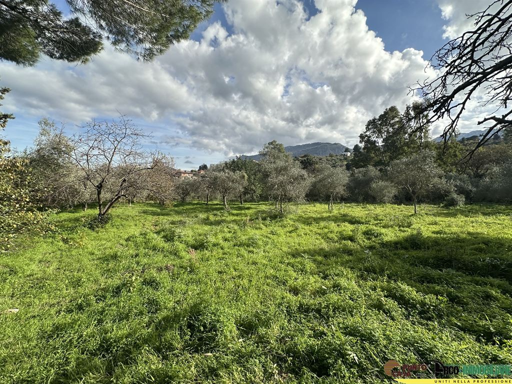 Tenuta agricola con 2 ettari di terreno e caseggiati rurali a Monreale/Pezzingoli